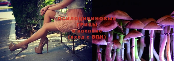герыч Арсеньев