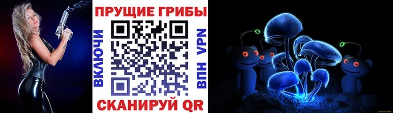 хочу наркоту  Петропавловск-Камчатский  blacksprut ССЫЛКА  Галлюциногенные грибы Cubensis 